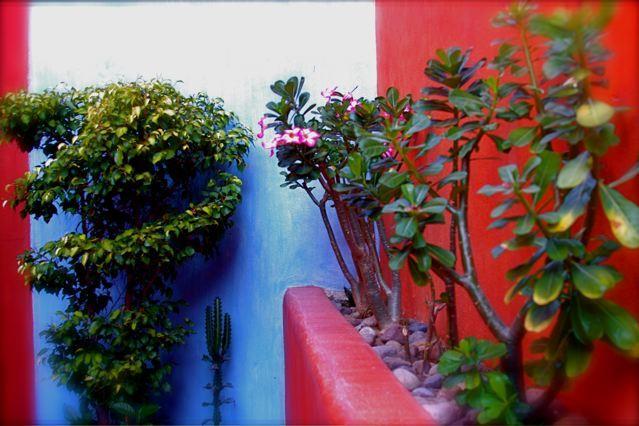 Villa Carolina Boutique Hotel Adults Only Zihuatanejo Eksteriør bilde